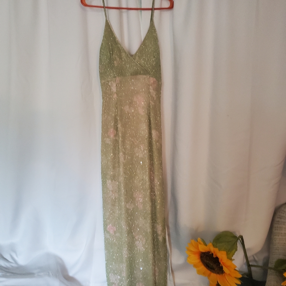 Gown/formal dress